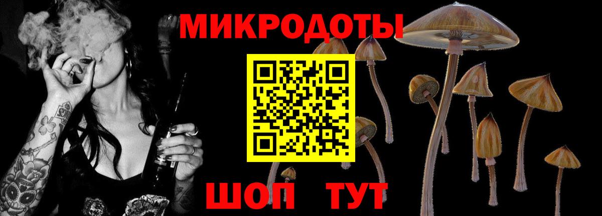 Галлюциногенные грибы мицелий Сызрань